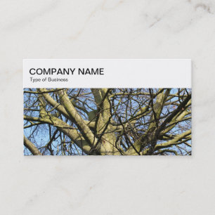 Top Panel - Winter Branches 03 Visitenkarte
