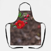 Top-Schürze Schürze (Vorderseite)