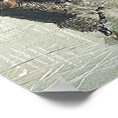 TOP Skaten Old School Poster (Ecke)