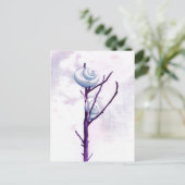 Top Snail Postcard Postkarte (Stehend Vorderseite)