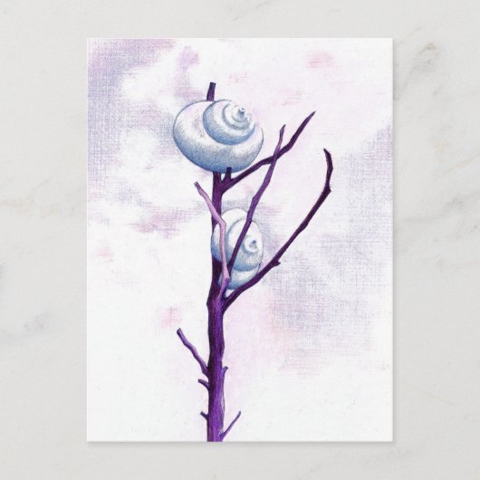 Top Snail Postcard Postkarte (Vorderseite)