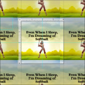 TOP Softball Dreams Stoff (Kachel)