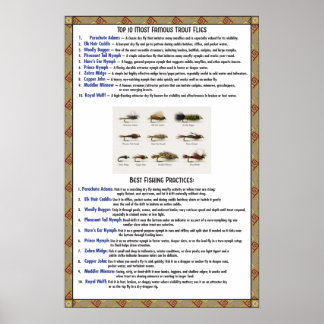 Top-Ten-Fliegenmuster-Beschreibung und Best Practi Poster