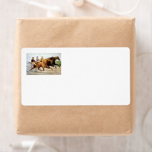 TOP Trotter (Insitu)