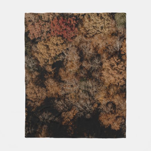 Top-view photography of tree fleecedecke (Vorderseite)