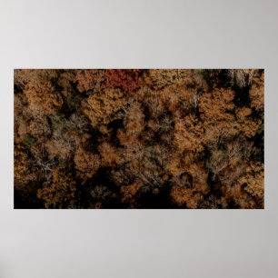 Top-view photography of tree poster