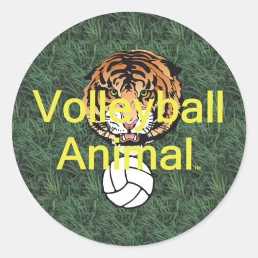 TOP Volleyball Tier Runder Aufkleber (Vorderseite)