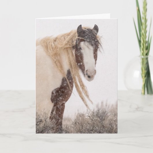 "Topeka im Winter" Ferienkarte Karte (Vorderseite)