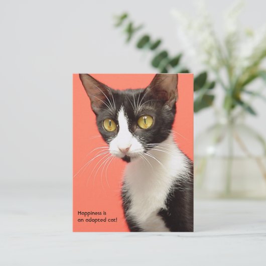 Topenga - Glück ist eine adoptiert Katze! Postkart Postkarte (Stehend Vorderseite)