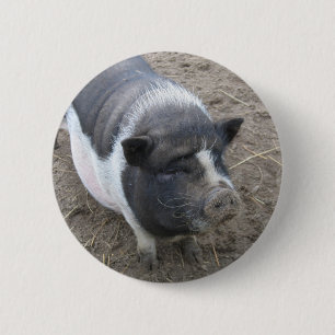 Topf aufgeblähtes Schwein Button