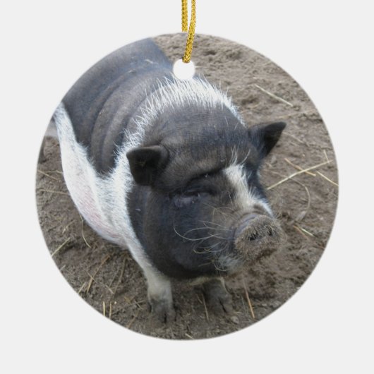 Topf aufgeblähtes Schwein Keramikornament (Vorne)