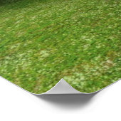 Topf mit Gold Poster (Ecke)