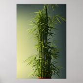 Topf Natural Lucky Bamboo Poster (Vorne)