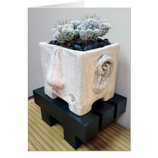 Töpfchen mit Thimble-Kaktus von Succulent Designs