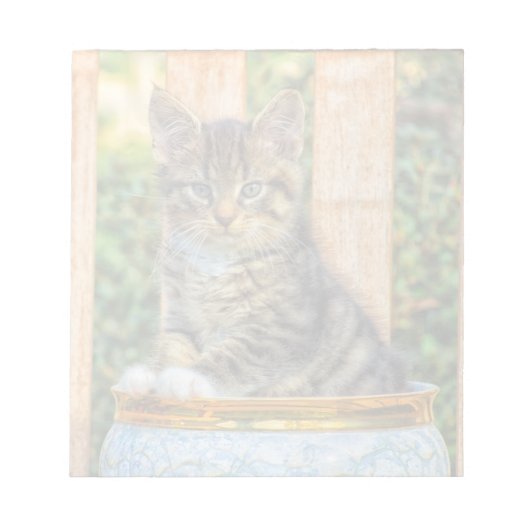 Töpfe der Babykätzchen Notizblock (Vorderseite)