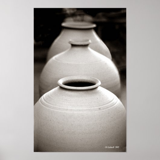 Töpfe Poster (Vorne)