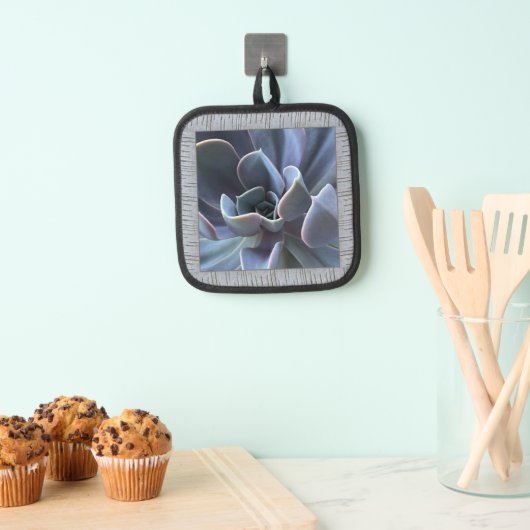 Töpfhalter mit schönem blauem Sukkulent Topflappen (Insitu (Hängend))