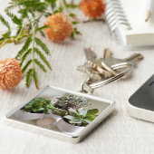 Topfkulturen mit Seashell Schlüsselanhänger (Seite)