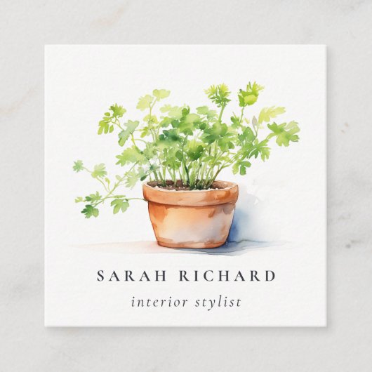 Topfpflanze Parsley Coriander Botanischer QR-Code Quadratische Visitenkarte (Vorderseite)