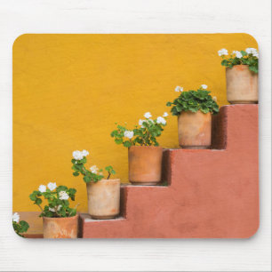 Topfpflanzen auf Treppe Mousepad