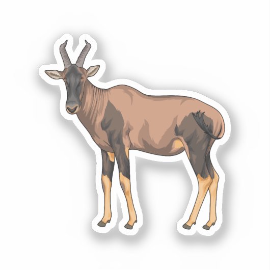 Topi-Vektorgrafik Aufkleber (Vorderseite)