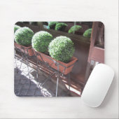 Topiary Balls Mousepad (Mit Mouse)