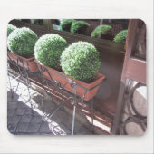 Topiary Balls Mousepad (Vorne)