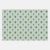 Topiary Garden Set 3 Geschenkpackung Geschenkpapier Set (Vorderseite 2)