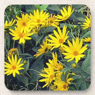 Topinambur-Blüten Getränkeuntersetzer