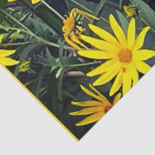 Topinambur-Blüten Seidenpapier (Detail)