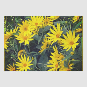 Topinambur-Blüten Seidenpapier