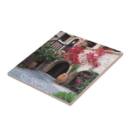 Toplou Kloster-Kirchenhof KRETA GRIECHENLAND Fliese (Seite)