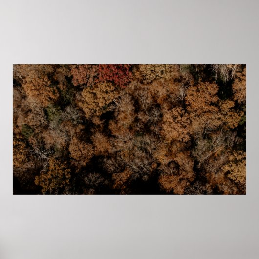 Topografische Aufnahmen von Bäumen Poster (Vorne)