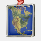 Topografische Sicht auf Nord- und Zentralamerika Silbernes Ornament (Links)