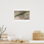 Topographical chart of the battlefield of the Litt Poster (Küche)