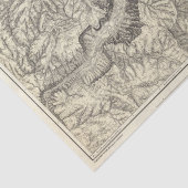 Topographische Karte des Yosemite-Tales Seidenpapier (Ausschnitt)