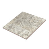 Topographische Karte von altem Rom, Italien Fliese (Seite)