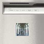 Topsail Island, NC-Magnet Magnet (In Situ (Geschirrspüler))