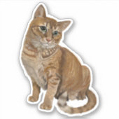 Topspin-Aufkleber Aufkleber (Vorderseite)