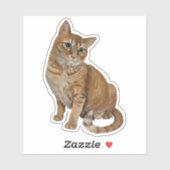 Topspin-Aufkleber Aufkleber (Blatt)