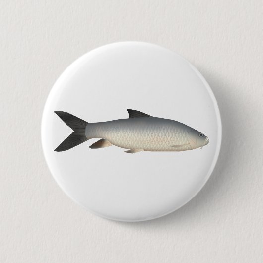 Tor Mahseer Button (Vorderseite)