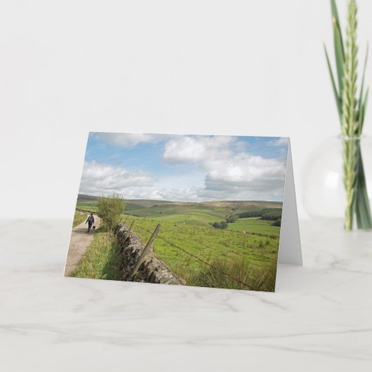 Tor und Katzen - Postkarte (Vorderseite)