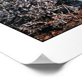 Tor zum Winter Wonderland Poster (Ecke)