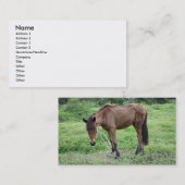 Toraille1, Visitenkarte (Vorne/Hinten)