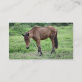 Toraille1, Visitenkarte (Rückseite)