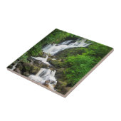 Torc-Wasserfall Szene, Irland Fliese (Seite)