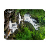 Torc-Wasserfall Szene, Irland Magnet (Horizontal)