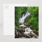 Torc-Wasserfall Szene, Irland Postkarte (Vorne/Hinten)