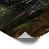 Torc Waterfall Bridge Poster (Ecke)