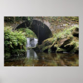 Torc Waterfall Bridge Poster (Vorne)